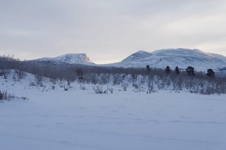 Snow-covered forest below the distinctive Lapporten mountain valley near Abisko in northern Sweden