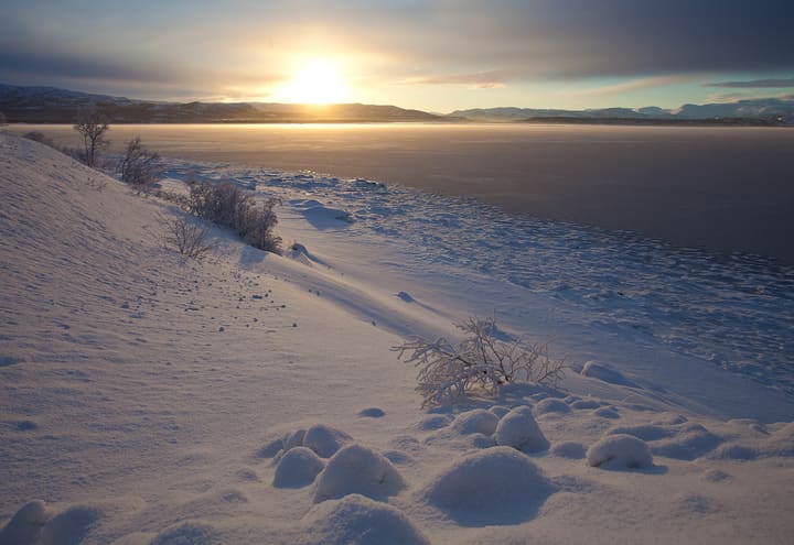 Tiefstehende Wintersonne über dem gefrorenen Ufer des Altafjords bei Alta in der Finnmark