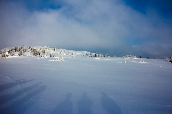 Schneebedeckter Boden und Bäume in Åre, fotografiert im Februar 2013