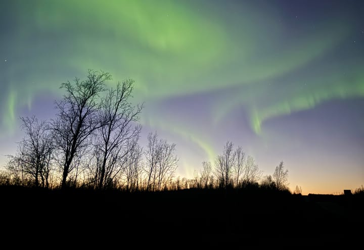 Polarlichtschein über einer Winterbaulinie in der Abenddämmerung