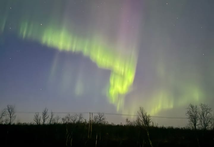 Nordlichtband über einer dunklen Straße und Baumgrenze