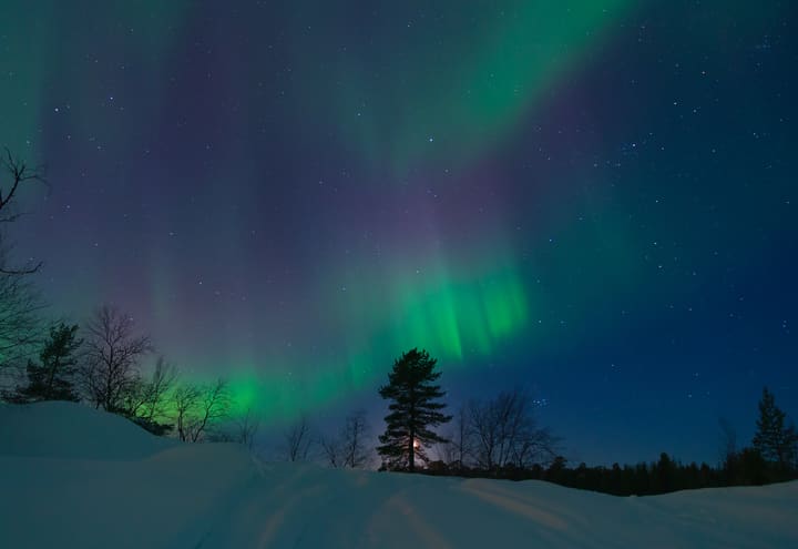 Northern lights bands above a frozen lake shore near Inari in March