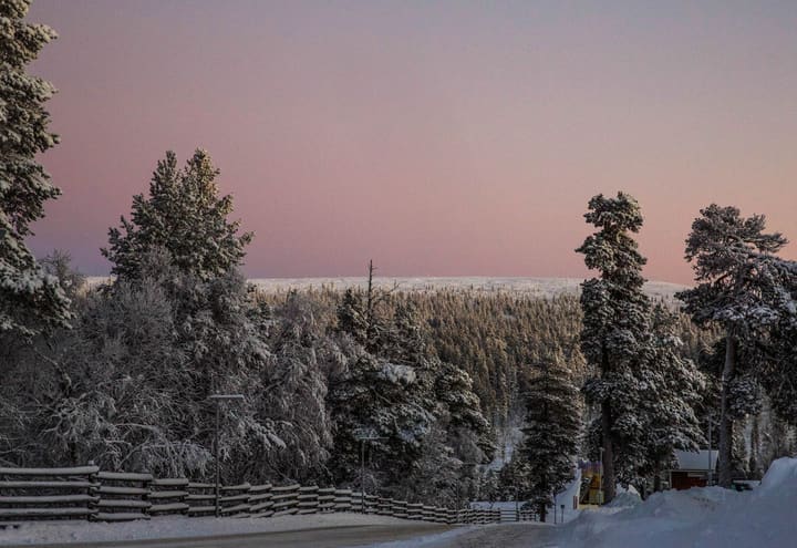 Snow-covered pines and fell slope near Saariselkä in Finnish Lapland in winter light