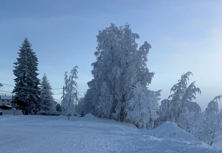 Verschneiter Pfad mit dicht bereiften Bäumen