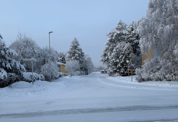 Verschneite nordische Straße mit bereiften Bäumen