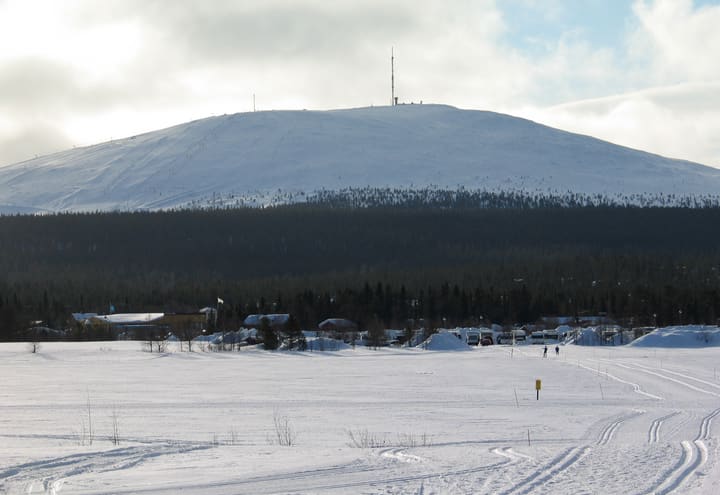 Der gerundete Gipfel des Ylläs-Fjells über verschneitem Wald an einem hellen Wintertag